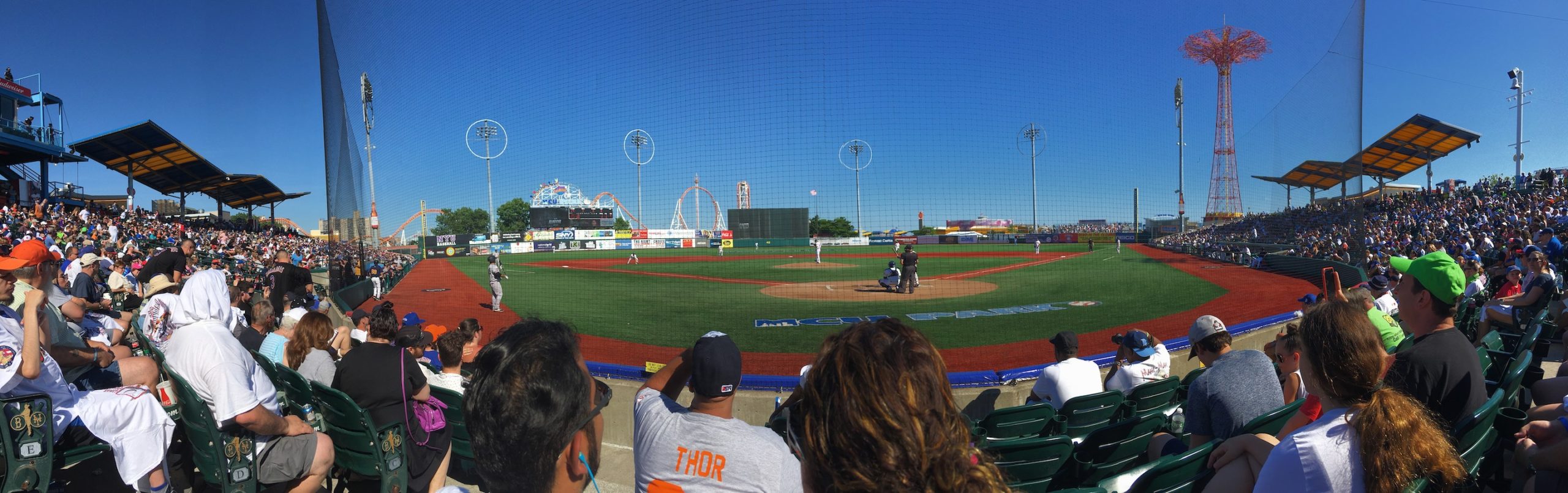 Sandy the Seagull trying to fight me at a Brooklyn Cyclones (Mets