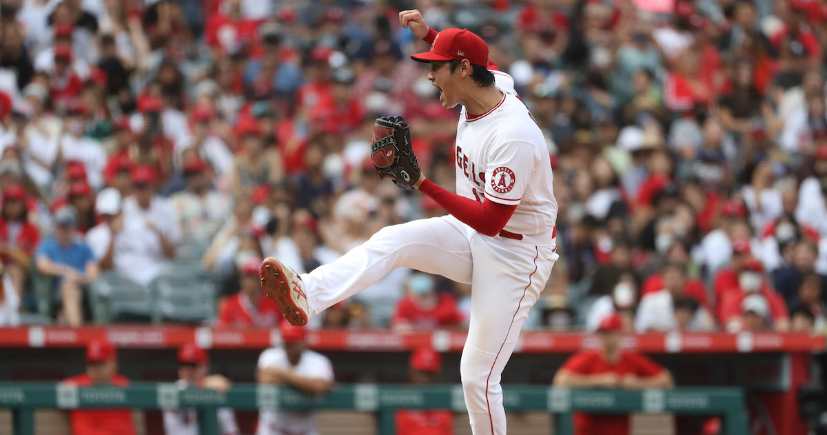 Shohei Ohtani Threw a Ball at a White Sox Fan and It Was Hilarious